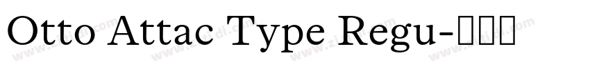 Otto Attac Type Regu字体转换